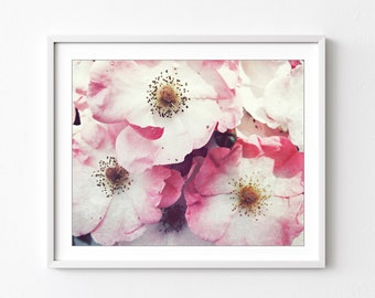 Old Fashioned Roses Print - Flower Photography, Botanical Print, Floral Wall Art, Pink Flowers Print, Bedroom Wall Art Decor