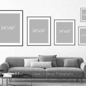 Fine Art Photography Print Sizes 5x5, 8x8, 11x14 up to 30x40 image 4