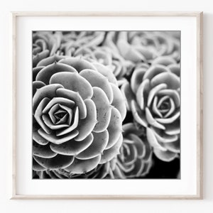 Conjunto de impresión botánica, fotografía en blanco y negro, hojas de flores, conjunto de 9 impresiones, fotografía de naturaleza, conjunto de pared de galería, impresiones 5x5 8x8 imagen 3