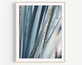 Yucca Leaves Print - Abstract Gray Blue Botanical Art, Nature Photography Print, Southwest Decor, Wall Art, 8x10 11x14 16x20 Print