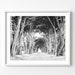 see more listings in the Black & White Prints section