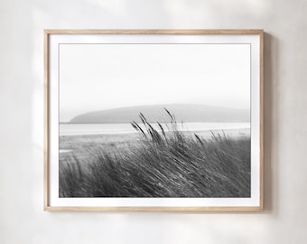 Fotografía de playa serena, arte mural costero en blanco y negro, hierba de playa, impresión de océano gris, decoración neutra 8x10 16x20