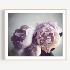 Peony Photography - Flower Still Life, Pink Wall Art, Peony Print, Floral Wall Art, Botanical Print, 8x10 16x20, Pale Blush Pink Gray Art