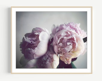 Peony Photography - Flower Still Life, Pink Wall Art, Peony Print, Floral Wall Art, Botanical Print, 8x10 16x20, Pale Blush Pink Gray Art