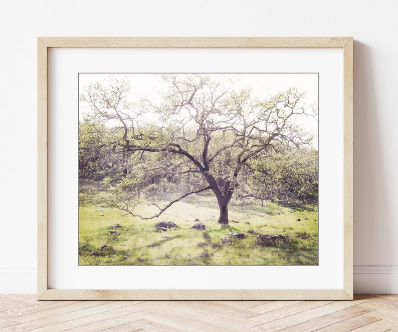 Oak Tree Landscape Print Landscape Photography, Dreamy Woodland Wall Art, Nature Photography Print, 8x10 16x20, Rustic Wall Art image 6