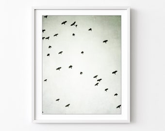 Black and White Nature Photography, Flock of Birds, 8x10 16x20, Birds in Flight, Contemporary Minimal Wall Art Print