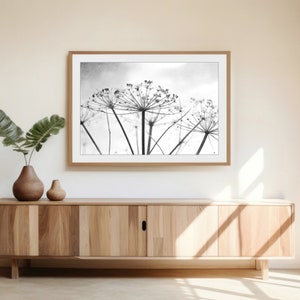 Botanical Print Black and White Photography, Wild Plants, Nature Print, Contemporary Nature Living Room Art, 8x10 16x20 Print image 7