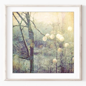 Woodland Photograph Sage Green Olive Decor Dreamy Nature Tree Wall Art Golden Sun Flare Sparkle bokeh Print, 5x5 8x8, Into the Mystic image 3