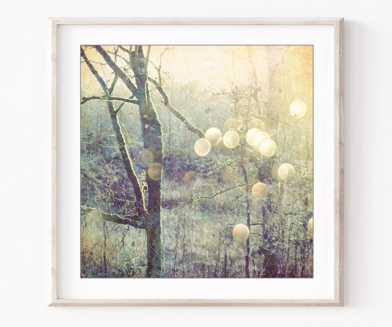 Woodland Photograph Sage Green Olive Decor Dreamy Nature Tree Wall Art Golden Sun Flare Sparkle bokeh Print, 5x5 8x8, Into the Mystic image 3