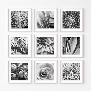 Botanical Print Set, Black and White Photography, Flowers Leaves, Set of 9 Prints, Nature Photography, Gallery Wall Set, 5x5 8x8 Prints image 2