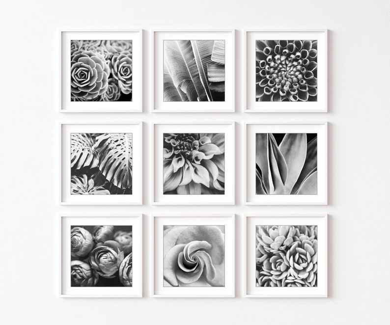 Botanical Print Set, Black and White Photography, Flowers Leaves, Set of 9 Prints, Nature Photography, Gallery Wall Set, 5x5 8x8 Prints image 2