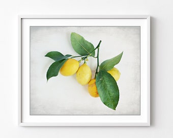 Lemon Still Life Print, Food Photography, Country Farmhouse Kitchen Wall Art, Fruit Still life, Meyer Lemons, 8x10 11x14, Dining Room Decor