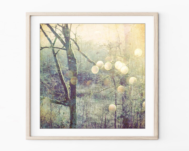 Woodland photograph sage green gold olive decor dreamy nature tree wall art golden sun flare sparkly bokeh Into the Mystic