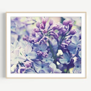 Lilac Flowers Photograph Botanical Print Pale Purple Wall Art Lavender Bedroom Wall Art Nature Photography Print