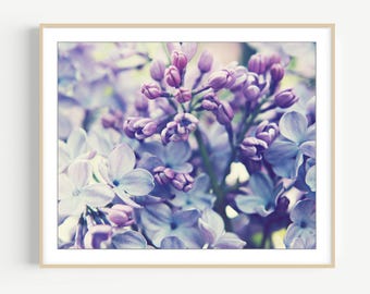 Lilac Flower Photography Print Pale Purple Botanical Floral Wall Art for Bedroom