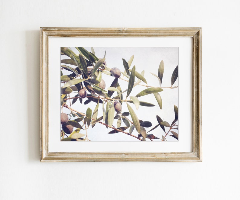 Olive Branch Botanical Print Nature Photography, Olive Leaves Wall Art, Farmhouse Kitchen Decor, Dining Room Art, Botanical Print image 2