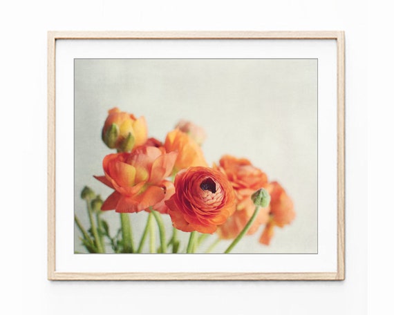 Photo Poster art coquelicots Encadrée Imprimer-Deep Purple fleur avec gouttes de pluie