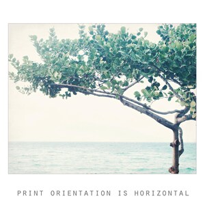 Ocean Print - Seascape Nature Photography Minimal Tree Print Blue Green Wall Art Art Nouveau Fine Art Photography Print - Nouveau Tree 画像 2