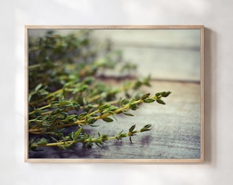 Thyme Print - Kitchen Wall Art, Food Photography, Herbal Print, Rustic Wood Print, 5x7 8x10 11x14, Green Gray Herb Photography Wall Art