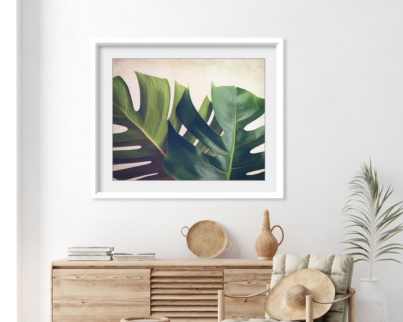 Leaves Wall Art Tropical Leaf Photograph Monstera - Etsy