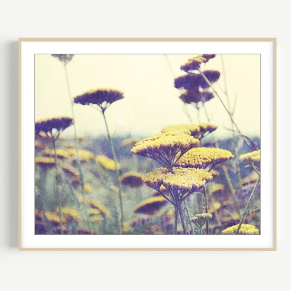 Flower Photography - Yarrow Botanical Print, Mustard Yellow, 8x10 16x20 Print, Wildflowers, Floral Wall Art, Nature Photography Print