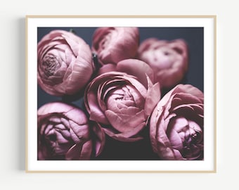 Ranunculus Flower Still Life Photography Print Muted Pink, Dark Botanical Flower Print, Floral Bedroom Wall Art, 8x10 11x14 16x20 Print