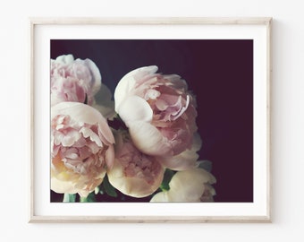 Peony Wall Art - Flower Still Life Photography Floral Pale Pink Botanical Print