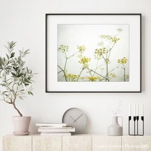 Yellow Flower Photography Fennel Print Botanical Print, Minimal Nature Photography, Floral Wall Art, Yellow Wildflowers, 8x10 16x20 Print image 2