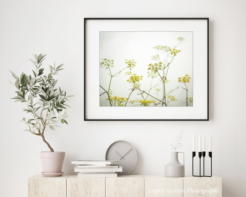 Yellow Flower Photography Fennel Print Botanical Print, Minimal Nature Photography, Floral Wall Art, Yellow Wildflowers, 8x10 16x20 Print image 2