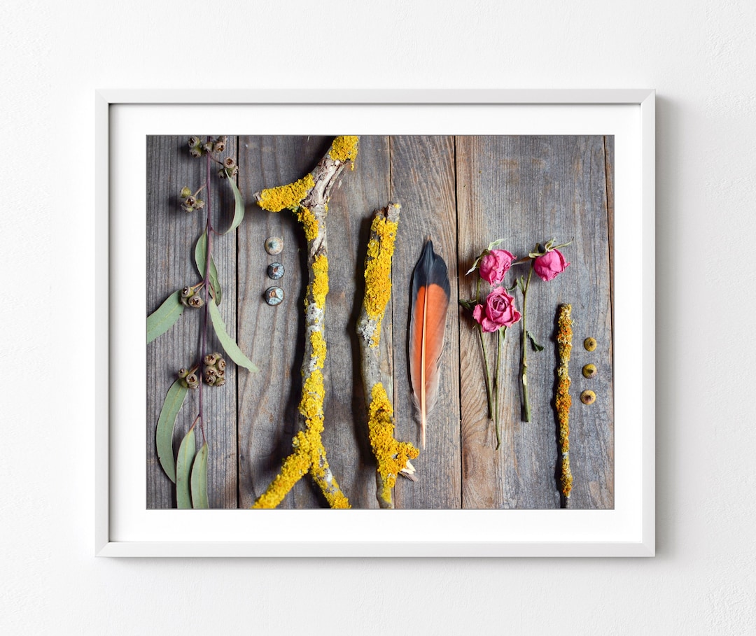 Nature Still Life Photography, Nature Collection,