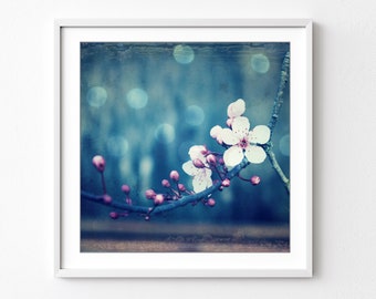 Plum Blossoms - Botanical Print, Flower Photography, Pink Blue Wall Art, Floral Wall Art, Indigo Blue Art