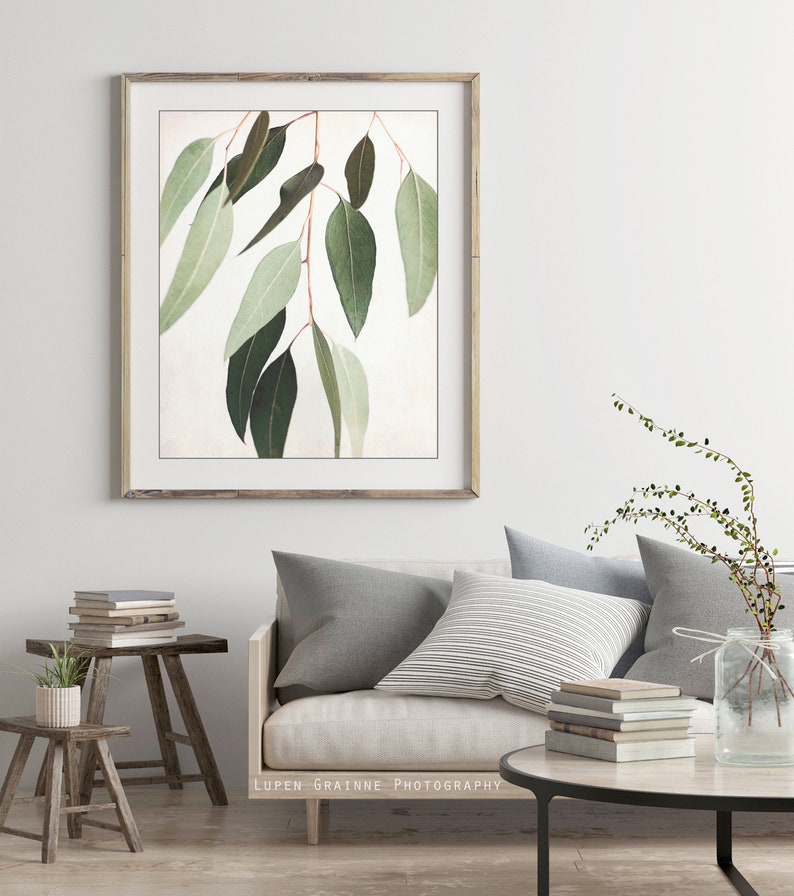 Eucalyptus Print Botanical Wall Art, Sage Green Wall Art, Nature Photography, 8x10 11x14, Modern Rustic Living Room Decor image 7