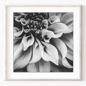 Botanical Print Set, Black and White Photography, Flowers Leaves, Set of 9 Prints, Nature Photography, Gallery Wall Set, 5x5 8x8 Prints image 5