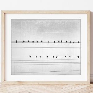 Birds on Wires Print Fine Art Photography, Black and White Wall Art, Abstract Modern Decor, 8x10 16x20 Minimal Art Print image 6