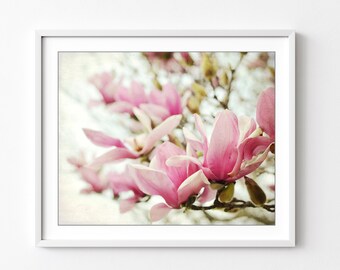 Magnolia Flowers Wall Art - Botanical Print, Spring Flower Photography, Nature Photography, Pink Floral Bedroom Wall Art
