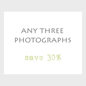 Set of Three Photography Prints / Save 30% / 3 Prints / Custom Set image 1