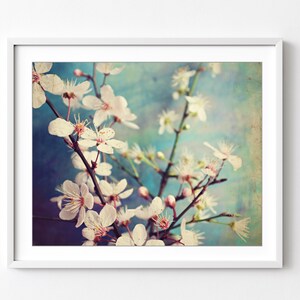 Plum Blossoms Print Flower Photography Still lIfe Print, Floral Wall Art, Pink Aqua Blue, Bedroom Art, 8x10 11x14, Flower Wall Art