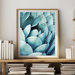 Agave Leaves Print, Nature Photography, Botanical Art, Turquoise Wall Art, Cactus Print, Desert Style Southwest Photography
