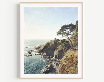 California Coastal Wall Art - Cypress Tree, Beach Photography, Rustic Living Room Art, 8x10 16x20 Print, Landscape Photography