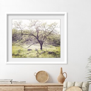 Oak Tree Landscape Print Landscape Photography, Dreamy Woodland Wall Art, Nature Photography Print, 8x10 16x20, Rustic Wall Art image 5