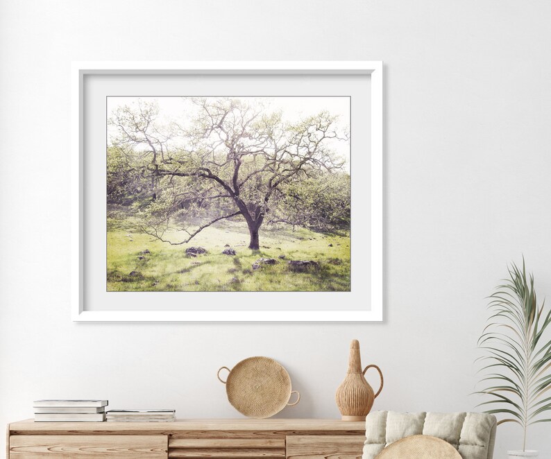 Oak Tree Landscape Print Landscape Photography, Dreamy Woodland Wall Art, Nature Photography Print, 8x10 16x20, Rustic Wall Art image 5