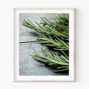 Food Photography Print Set Rustic Kitchen Wall Art, Set of 6 Prints, Still Life Photography, Dining Room Wall Decor, 5x7 8x10 Prints image 2