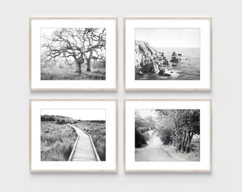 Landscape Print Set - Black and White Photography, Set of Four Prints, Neutral Gallery Wall Set, Northern California Wall Art