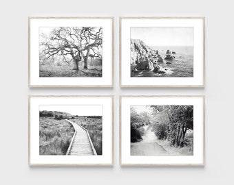 Impresiones de paisajes rústicos, fotografía en blanco y negro, arte de pared, conjunto de 4 impresiones, árboles, océano, arte de pared en blanco y negro, impresiones 8x10 11x14