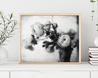 Ranunculus Flower Print Black and White Still Life Photography