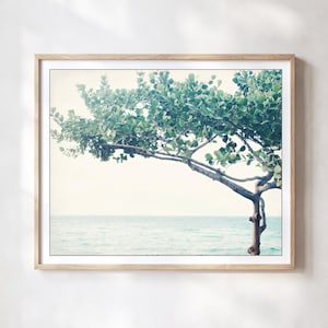 Ocean Print - Seascape Nature Photography Minimal Tree Print Blue Green Wall Art Art Nouveau Fine Art Photography Print - Nouveau Tree 画像 1