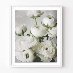White Ranunculus Flowers, Botanical Print, Flower Photography, White Floral Wall Art, 8x10 16x20 Print