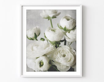 White Ranunculus Flowers - Botanical Print Flower Photography White Wall Art Floral Romantic Bedroom Wall Art 8x10 16x20 Print