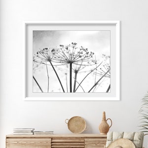 Botanical Print Black and White Photography, Wild Plants, Nature Print, Contemporary Nature Living Room Art, 8x10 16x20 Print image 4