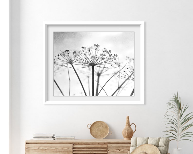 Botanical Print Black and White Photography, Wild Plants, Nature Print, Contemporary Nature Living Room Art, 8x10 16x20 Print image 4